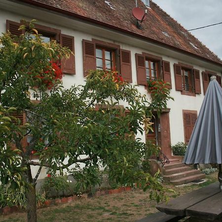 Maison D'Alsace Breitenbach-Haut-Rhin エクステリア 写真