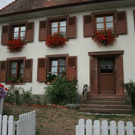 Maison D'Alsace Breitenbach-Haut-Rhin エクステリア 写真