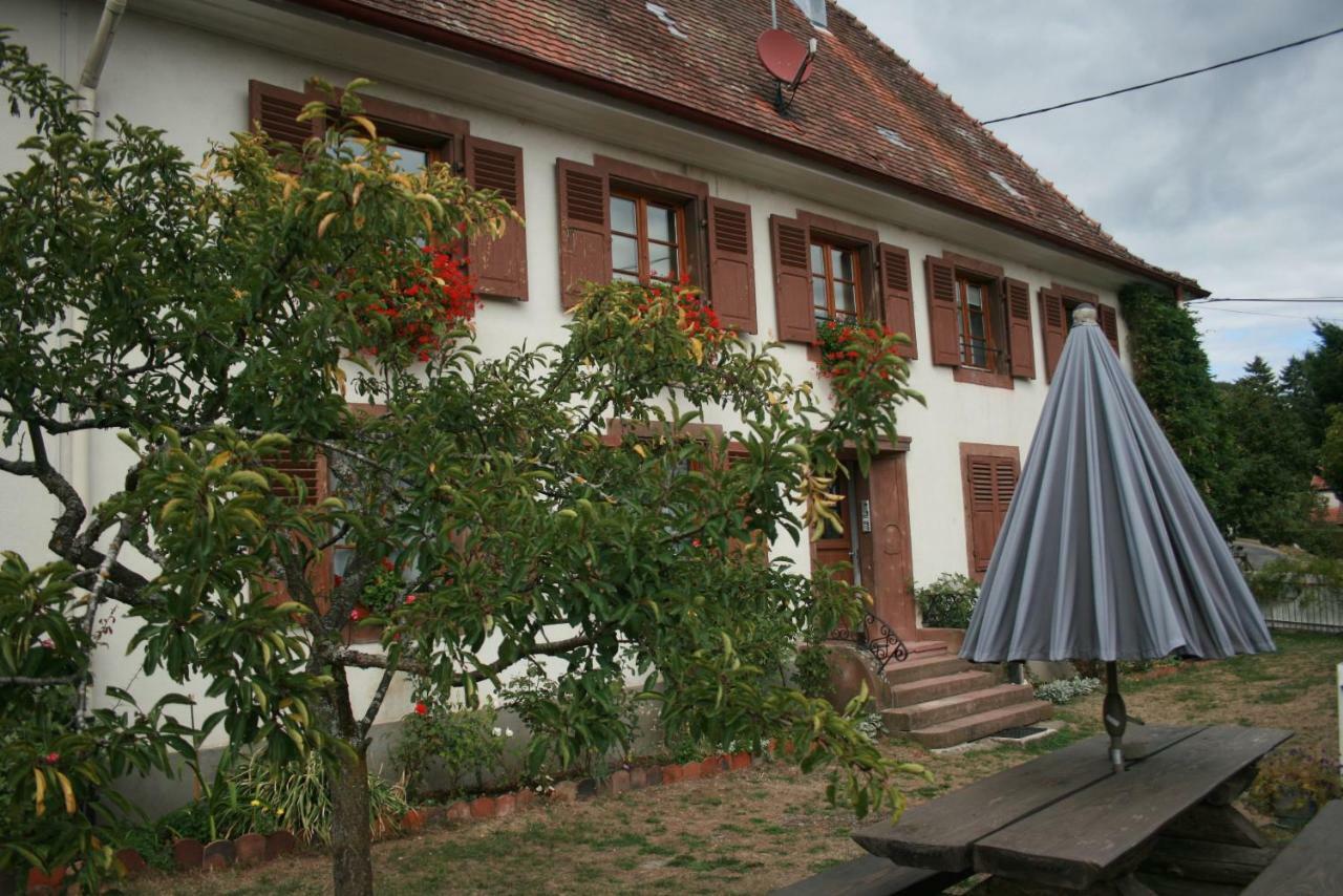 Maison D'Alsace Breitenbach-Haut-Rhin エクステリア 写真