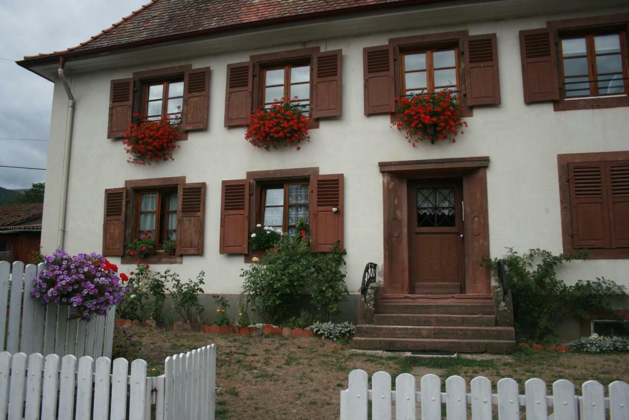 Maison D'Alsace Breitenbach-Haut-Rhin エクステリア 写真